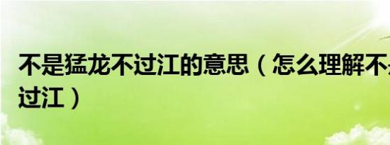 不是猛龙不过江的意思（怎么理解不是猛龙不过江）