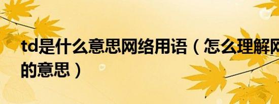 td是什么意思网络用语（怎么理解网络语td的意思）