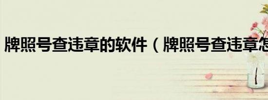 牌照号查违章的软件（牌照号查违章怎么查）