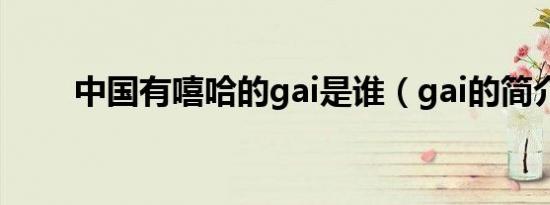 中国有嘻哈的gai是谁（gai的简介）