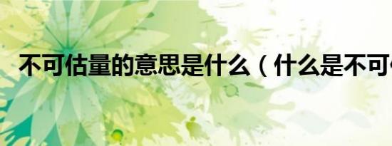 不可估量的意思是什么（什么是不可估量）