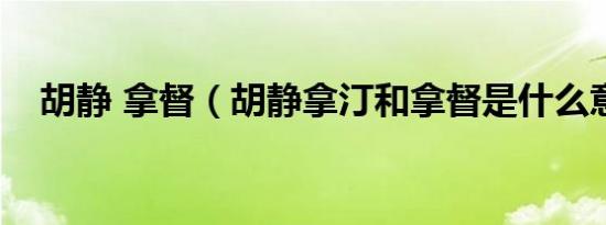 胡静 拿督（胡静拿汀和拿督是什么意思）