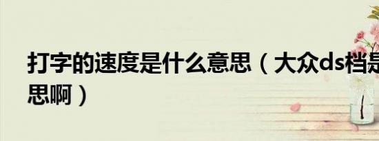 打字的速度是什么意思（大众ds档是什么意思啊）