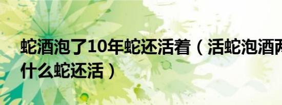 蛇酒泡了10年蛇还活着（活蛇泡酒两年后为什么蛇还活）
