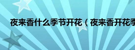 夜来香什么季节开花（夜来香开花季节）