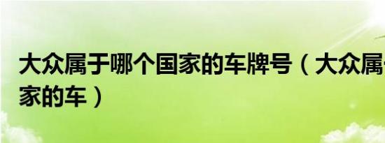 大众属于哪个国家的车牌号（大众属于哪个国家的车）