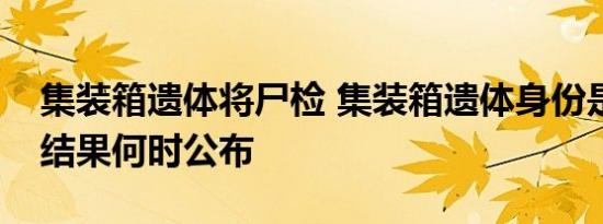 集装箱遗体将尸检 集装箱遗体身份是啥具体结果何时公布