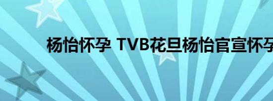 杨怡怀孕 TVB花旦杨怡官宣怀孕