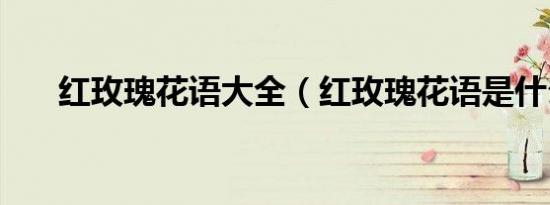 红玫瑰花语大全（红玫瑰花语是什么）