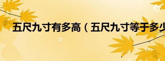 五尺九寸有多高（五尺九寸等于多少米）