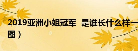 2019亚洲小姐冠军 是谁长什么样一睹芳容（图）