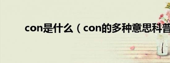 con是什么（con的多种意思科普）