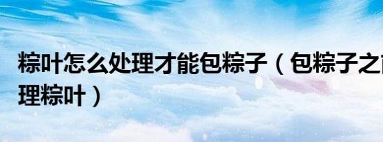 粽叶怎么处理才能包粽子（包粽子之前怎么处理粽叶）