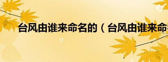 台风由谁来命名的（台风由谁来命名）