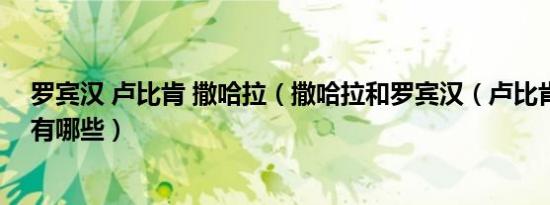 罗宾汉 卢比肯 撒哈拉（撒哈拉和罗宾汉（卢比肯）的区别有哪些）
