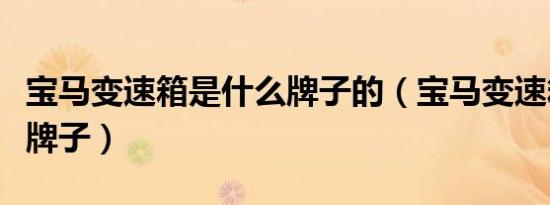 宝马变速箱是什么牌子的（宝马变速箱是什么牌子）