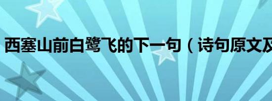 西塞山前白鹭飞的下一句（诗句原文及译文）