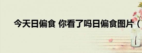 今天日偏食 你看了吗日偏食图片（图）