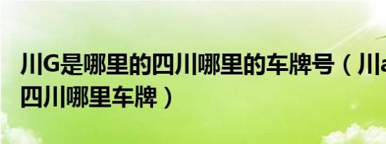 川G是哪里的四川哪里的车牌号（川a到川z是四川哪里车牌）