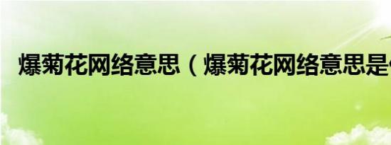 爆菊花网络意思（爆菊花网络意思是什么）