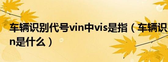 车辆识别代号vin中vis是指（车辆识别代号vin是什么）