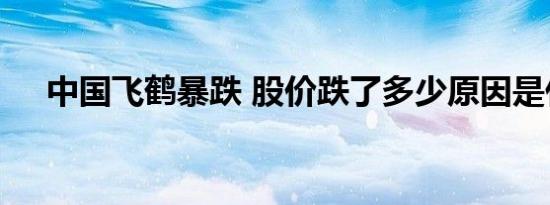 中国飞鹤暴跌 股价跌了多少原因是什么