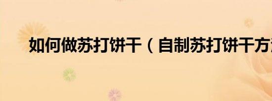 如何做苏打饼干（自制苏打饼干方法）
