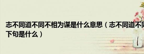 志不同道不同不相为谋是什么意思（志不同道不同不相为谋 下句是什么）