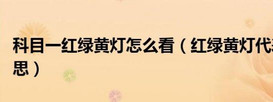 科目一红绿黄灯怎么看（红绿黄灯代表什么意思）