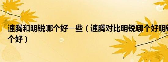 速腾和明锐哪个好一些（速腾对比明锐哪个好明锐和速腾哪个好）