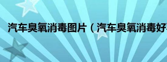 汽车臭氧消毒图片（汽车臭氧消毒好不好）