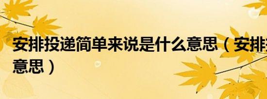 安排投递简单来说是什么意思（安排投递是啥意思）