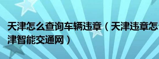 天津怎么查询车辆违章（天津违章怎么查询天津智能交通网）