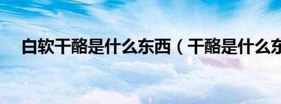 白软干酪是什么东西（干酪是什么东西）