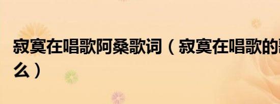 寂寞在唱歌阿桑歌词（寂寞在唱歌的歌词是什么）