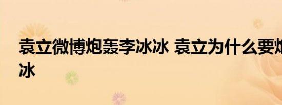 袁立微博炮轰李冰冰 袁立为什么要炮轰李冰冰