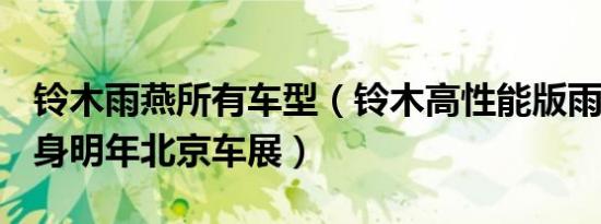 铃木雨燕所有车型（铃木高性能版雨燕R将现身明年北京车展）