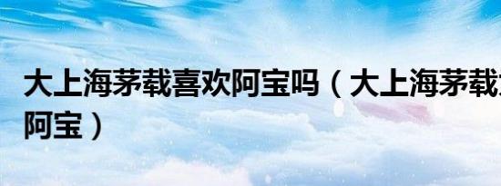 大上海茅载喜欢阿宝吗（大上海茅载为什么要阿宝）
