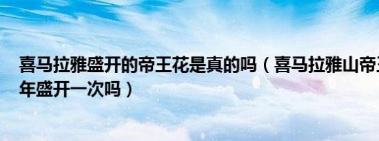 喜马拉雅盛开的帝王花是真的吗（喜马拉雅山帝王花每400年盛开一次吗）