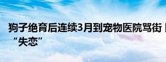狗子绝育后连续3月到宠物医院骂街 因绝育后“失恋”