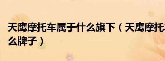 天鹰摩托车属于什么旗下（天鹰摩托车属于什么牌子）