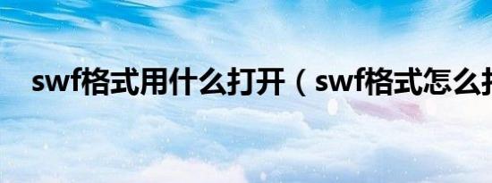 swf格式用什么打开（swf格式怎么打开）