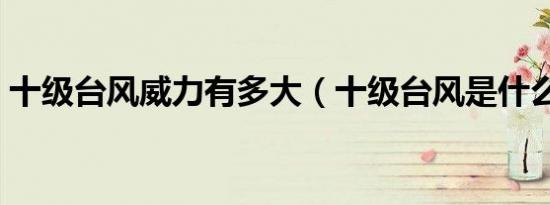 十级台风威力有多大（十级台风是什么概念）