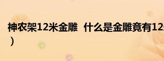 神农架12米金雕 什么是金雕竟有12米高（图）