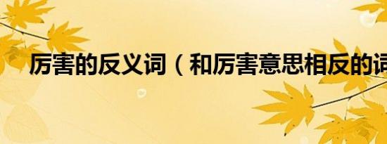 厉害的反义词（和厉害意思相反的词语）