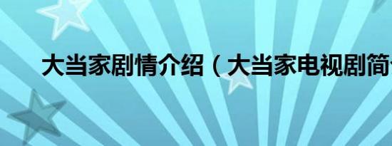 大当家剧情介绍（大当家电视剧简介）