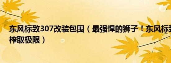 东风标致307改装包围（最强悍的狮子！东风标致307改装榨取极限）