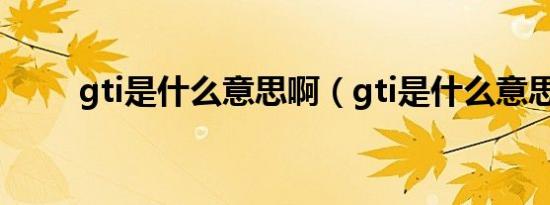 gti是什么意思啊（gti是什么意思）