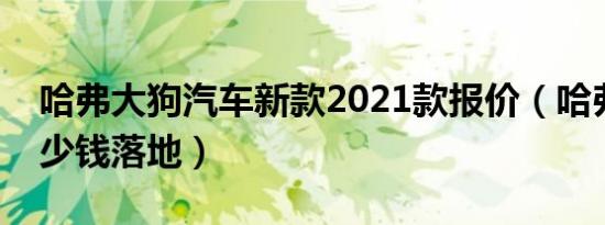 哈弗大狗汽车新款2021款报价（哈弗大狗多少钱落地）