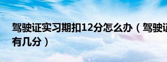 驾驶证实习期扣12分怎么办（驾驶证实习期有几分）